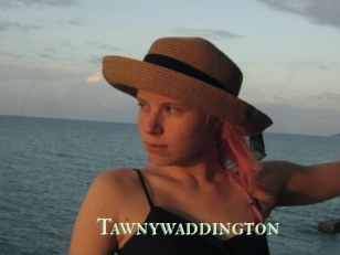 Tawnywaddington