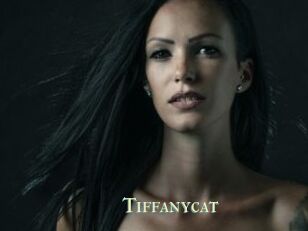 Tiffanycat