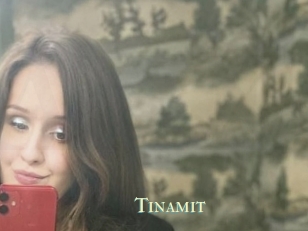 Tinamit