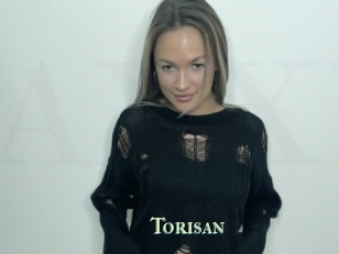 Torisan