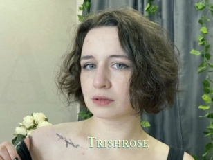 Trishrose