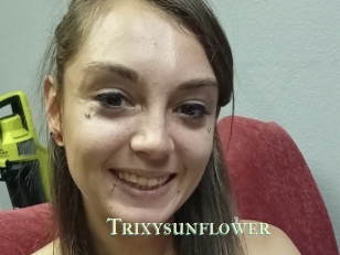 Trixysunflower