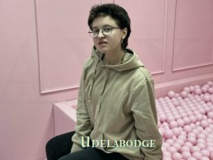 Udelabodge