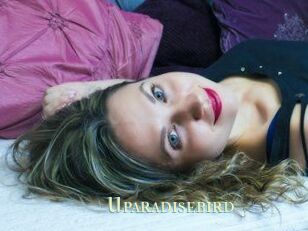 Uparadisebird