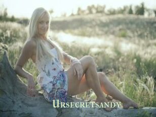 Ursecretsandy