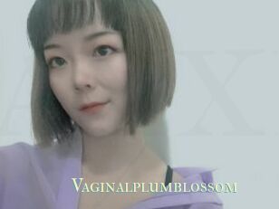 Vaginalplumblossom