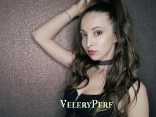 VeleryPerf