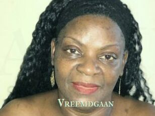 Vreemdgaan