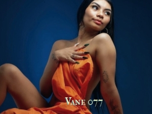 Vane_077