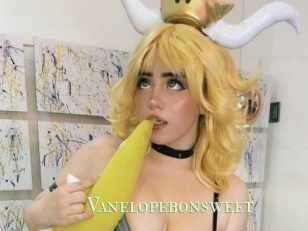 Vanelopebonsweet