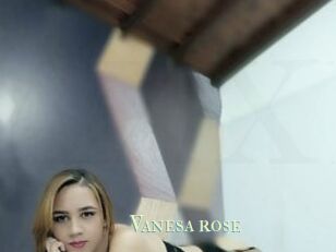 Vanesa_rose