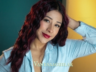 Vanesaaguilar