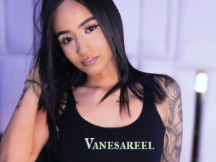 Vanesareel
