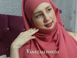 Vanezaalfonzo