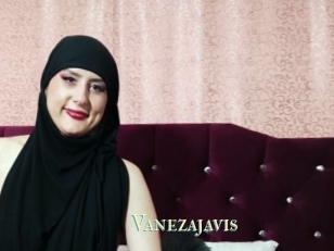 Vanezajavis