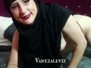 Vanezaleviz