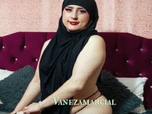 Vanezamarcial