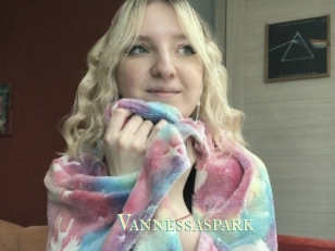 Vannessaspark