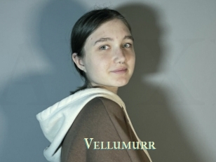 Vellumurr