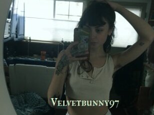 Velvetbunny97