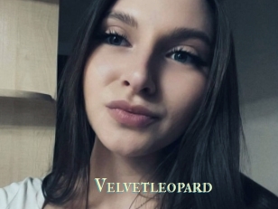 Velvetleopard