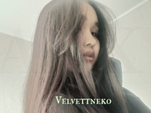 Velvettneko