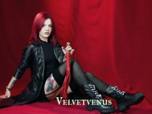 Velvetvenus