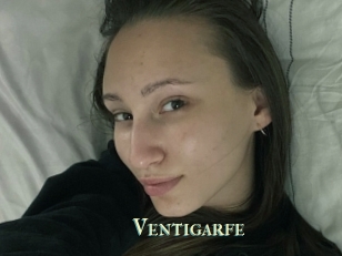 Ventigarfe