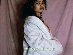 Venus2bunnie