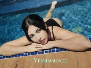 Venussrosee