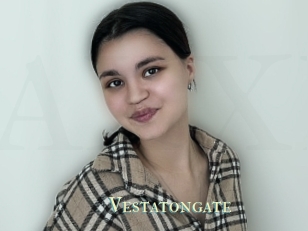 Vestatongate