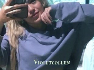 Violetcollen