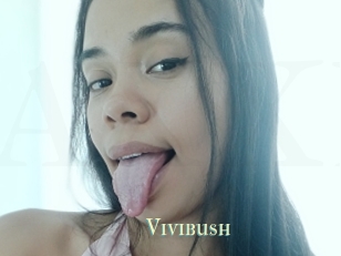 Vivibush