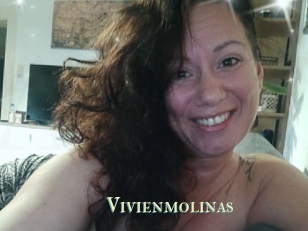 Vivienmolinas