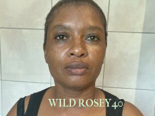 WILD_ROSEY40