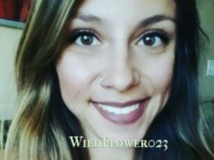 WildFlower023