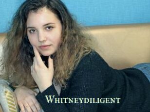 Whitneydiligent
