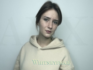 Whitneyfigge