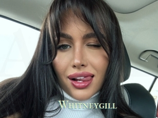 Whitneygill