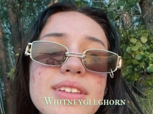 Whitneygleghorn