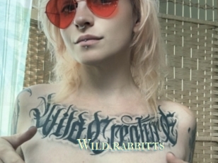 Wild.rabbitts