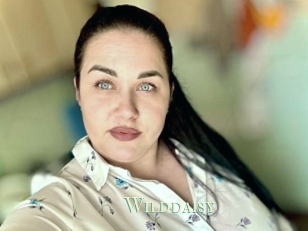 Wilddaisy
