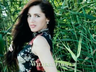 Wildredflower