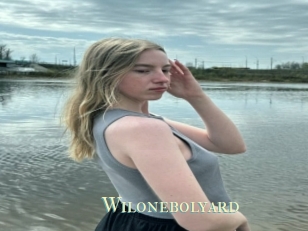Wilonebolyard