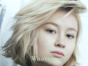 Wilonefudge