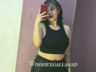 Winniexgallahad