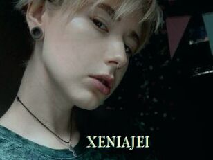 XENIA_JEI