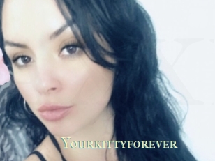 Yourkittyforever