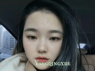 Yangqingxue