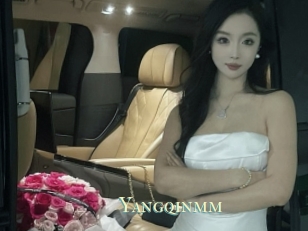 Yangqinmm